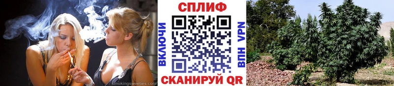 Где купить Кудрово Cocaine  Меф мяу мяу  Альфа ПВП  Каннабис  ГАШ 