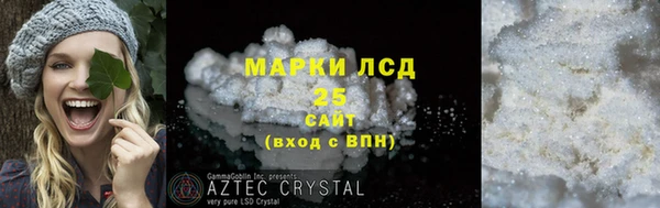 PSILOCYBIN Алзамай