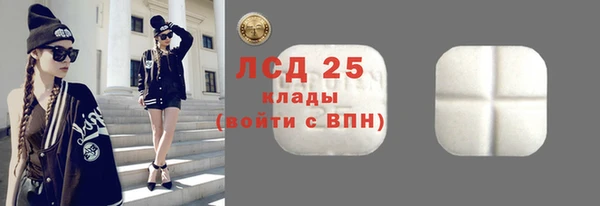 PSILOCYBIN Алзамай