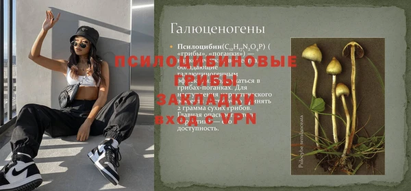 эйфоретик Алексеевка