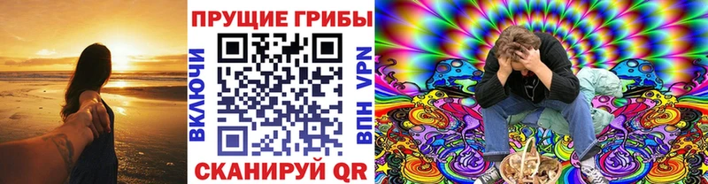 blacksprut вход  наркотики  Кудрово  Галлюциногенные грибы GOLDEN TEACHER 